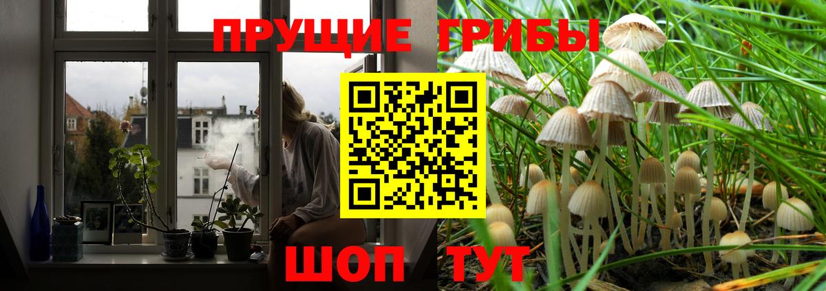 Амурск  Псилоцибиновые грибы ЛСД  Вход с VPN 